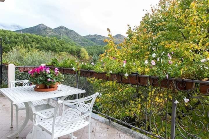 B&B Sant'Andrea Morano Calabro Exterior foto